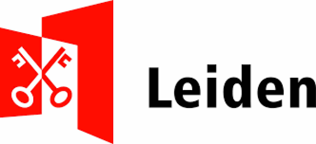 alt text image